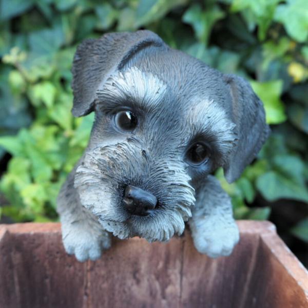 犬の置物 シュナウザー ハンギングドッグ T14205 いぬ イヌ 動物