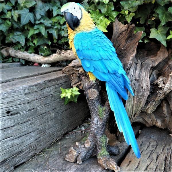 小鳥の置物 インコの置物 コンゴウインコ 特大 N14107 青 オウム