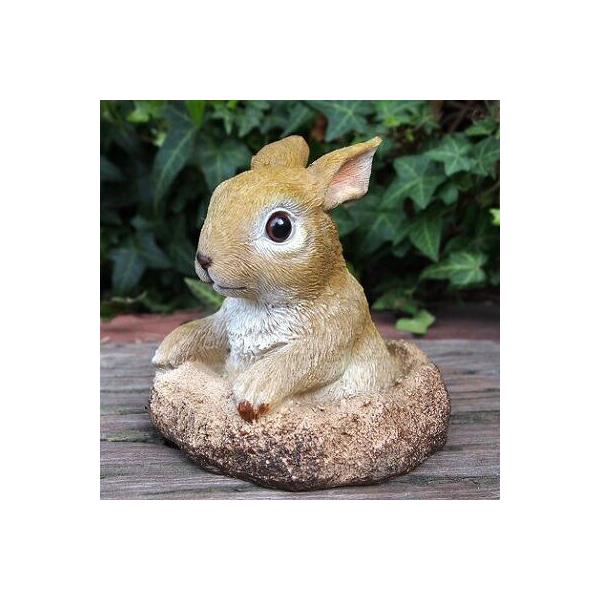 うさぎの置物 ひょっこりウサギ N15441 兎 キャロット