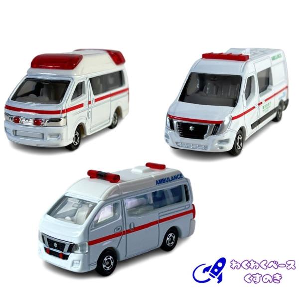 wakuwakukusunoki_101010719