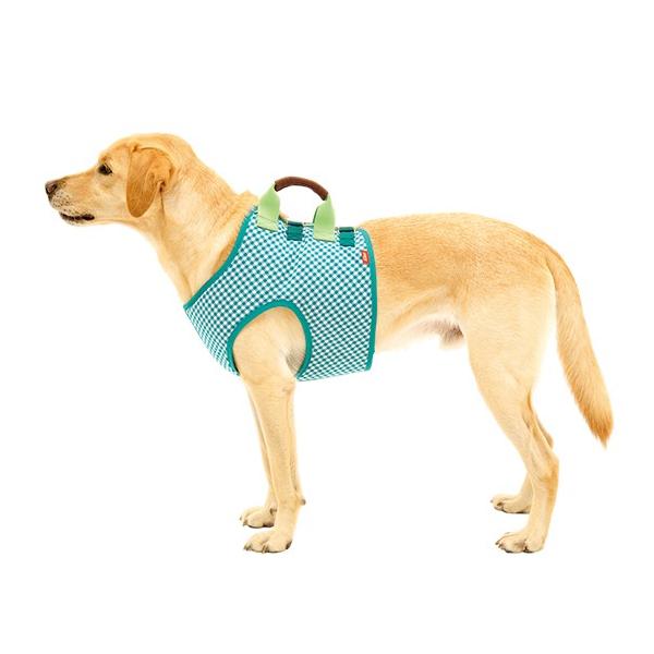 LaLaWalkxXg@K[f O[`FbN SSE SE ME L