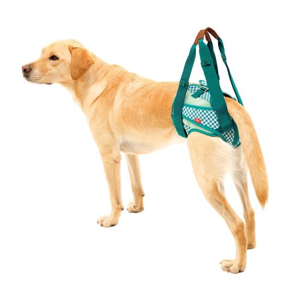 LaLaWalkpc@K[f O[`FbN SSE SE ME L