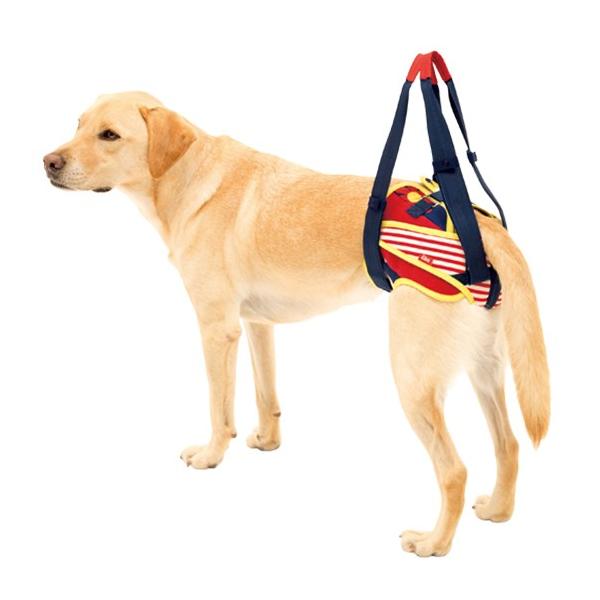 LaLaWalkpc@nbs[t[ A ԃXgCvA  SSE SE ME L