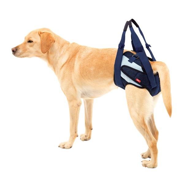 LaLaWalkpc@fj  SSE SE ME L