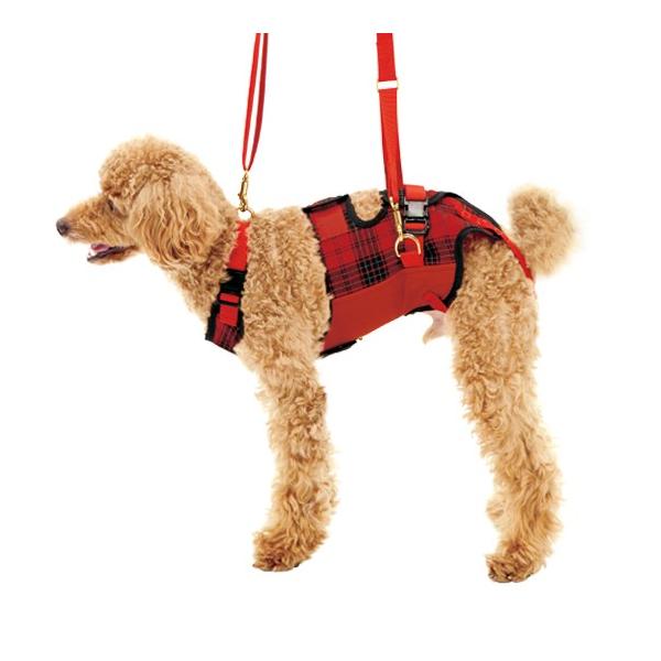 s⏕n[lXLaLaWalk^p@ԃ`FbNA IWA  SE ME L