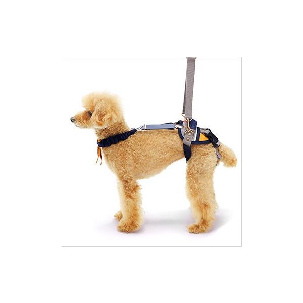  s⏕n[lX  n[lX  LaLaWalk EH[Nz[h ^p {[_[}X^[h A A }X^[h