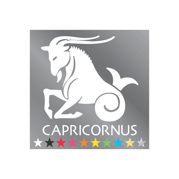 山羊座 ステッカー やぎ座・capricornus