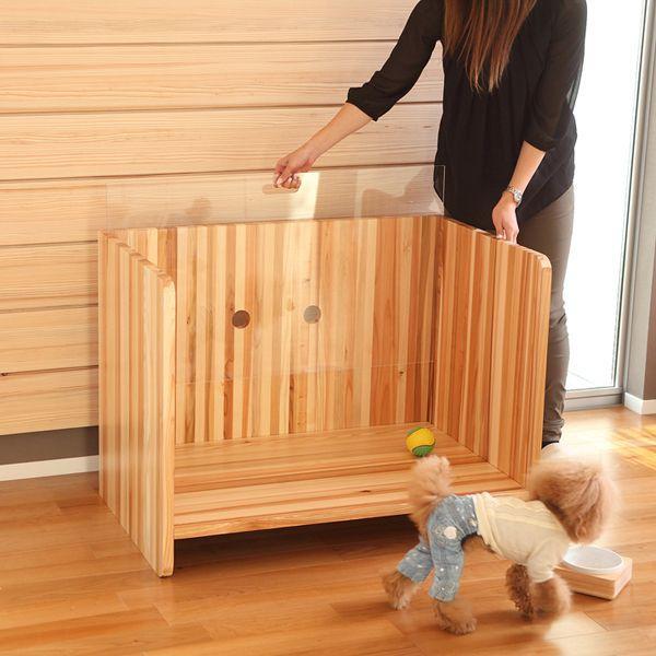  nEX@kanbatsu Joc @XibOP[W