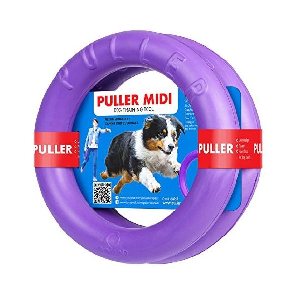 DearEChildren@hbOg[jOߋ@PULLER Midi@