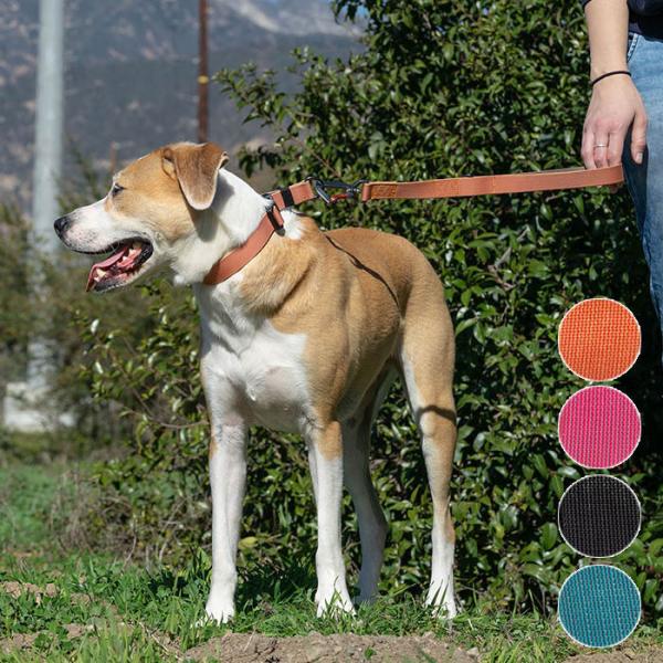 [h  ^   Sleepypod Traffic Leash X[s[|bh gtBbN[V  38cm 2.5cm