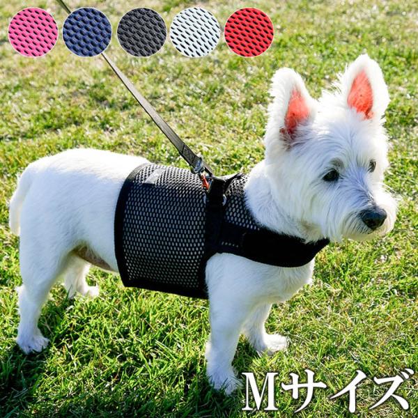 n[lX  ^ ^   Sleepypod Martingale Dog Harness X[s[|bh }[`Q[hbOn[lX MTCY ڈ̏d?20kg