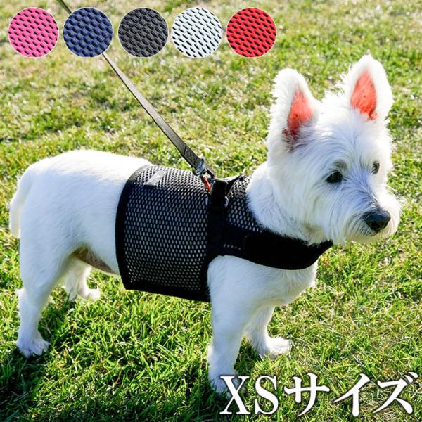 n[lX  ^   Sleepypod Martingale Dog Harness X[s[|bh }[`Q[hbOn[lX XSTCY ڈ̏d?6kg
