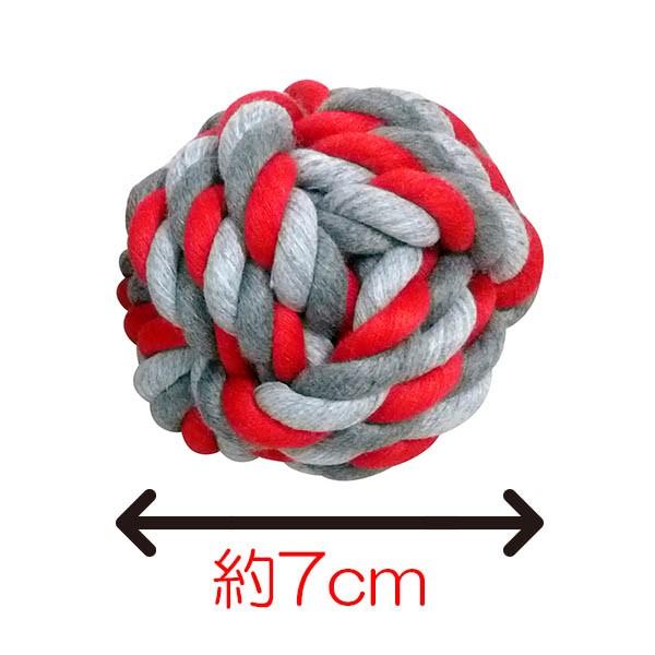 T&amp;Z TopZoo [v{[ X[ p