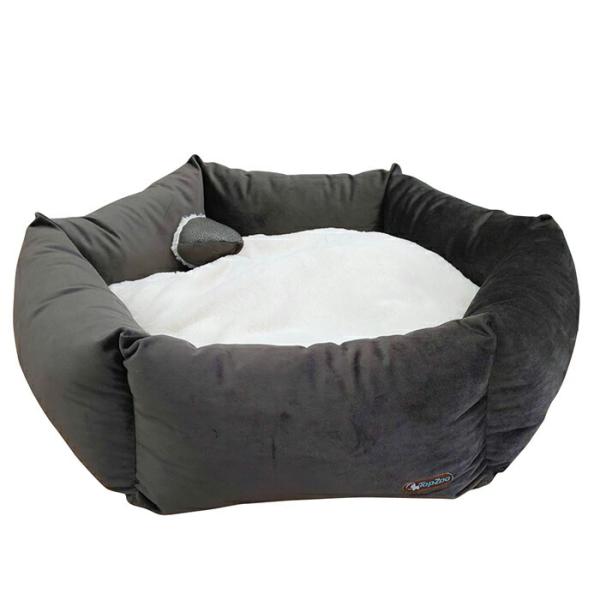 TopZoo oXPbgt[@MTCY }bg xbh ybg  L