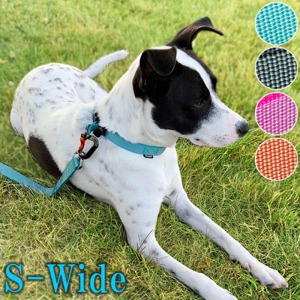 p ^ ^  Sleepypod Locking Martingale Collar X[s[|bh bLO}[`Q[J[ S-WideTCY 1.9cm 28?38cm