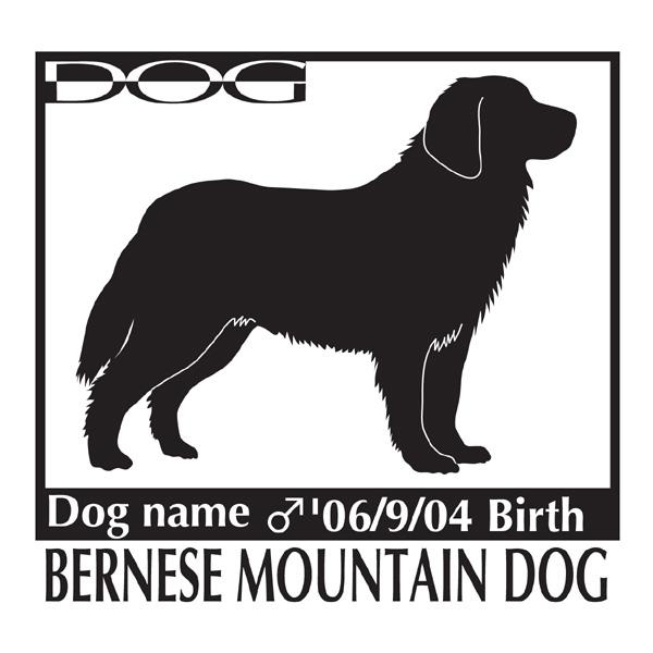  XebJ[A o[j[Y}EehbO LTCY