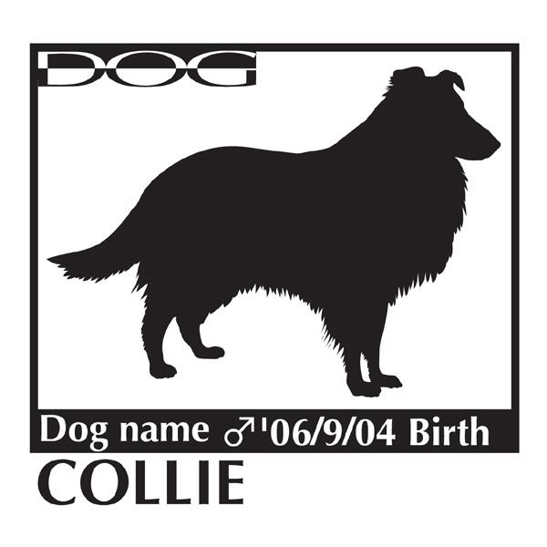 hbOXebJ[A R[̃ObY MTCY