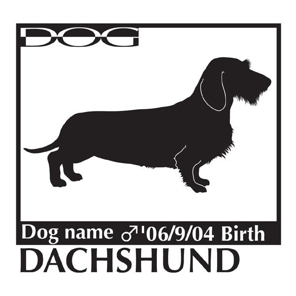  XebJ[A _bNXth C[ MTCY