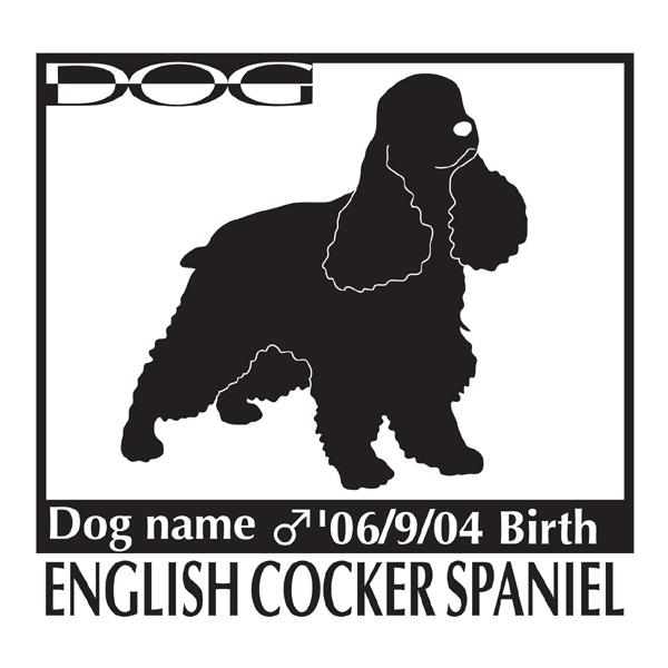 hbOV[A CObVRbJ[XpjG LTCY