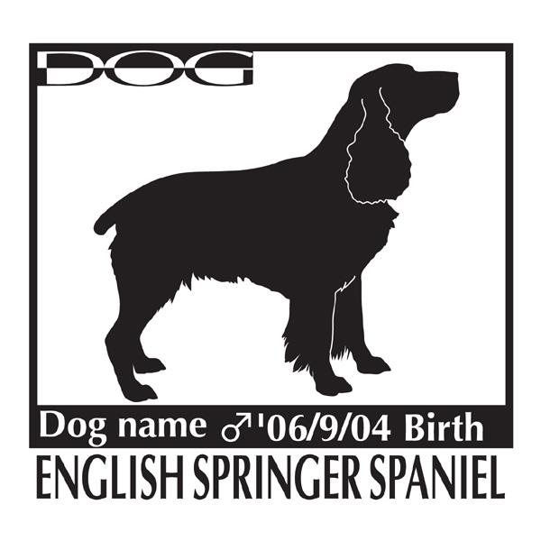  XebJ[A CObVXvK[XpjG MTCY