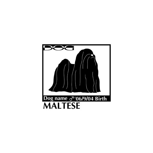  XebJ[A }`[Y NEW@MTCY