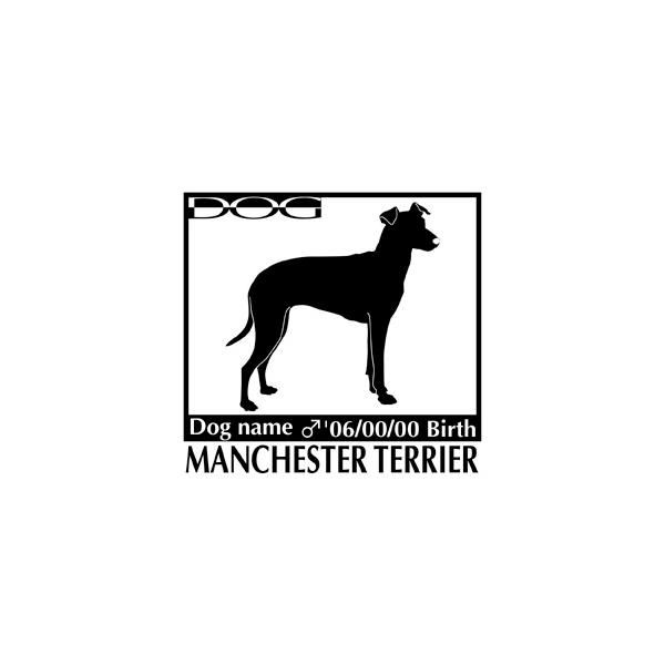  XebJ[A }`FX^[eA ΌLTCY