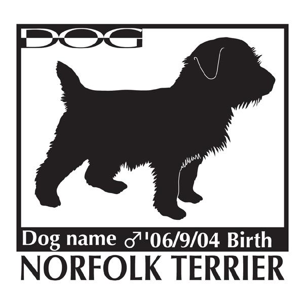  XebJ[A m[tH[NeA LTCY