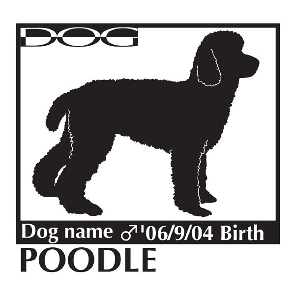  XebJ[A v[h , gCv[h 2LTCY