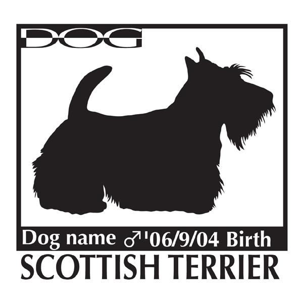 @ XebJ[A XReBbVeA MTCY