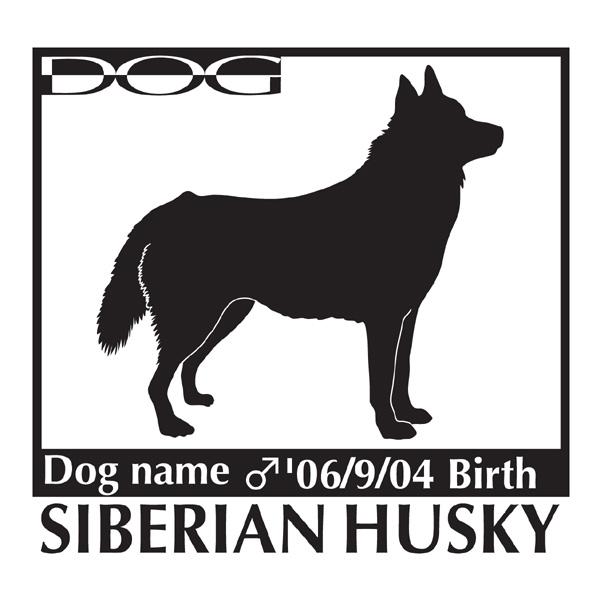 hbOXebJ[A VxAnXL[̌ObY MTCY