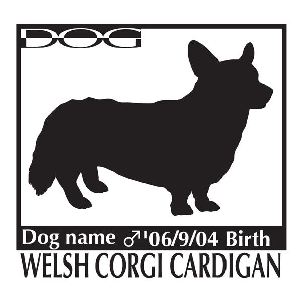 hbOV[A EFVR[M[J[fBA LTCY