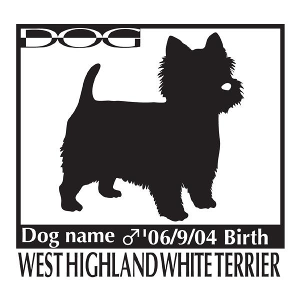 hbOXebJ[A EGXgnChzCgeA E  EGXeB[̃ObY@MTCY