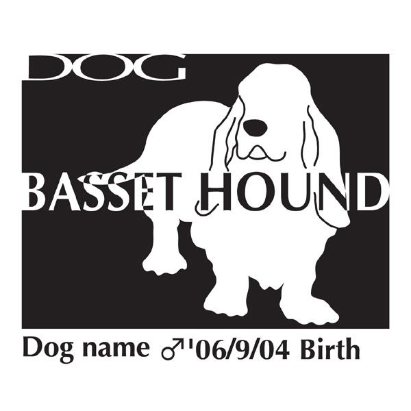 hbOV[XebJ[B oZbgnEh MTCY