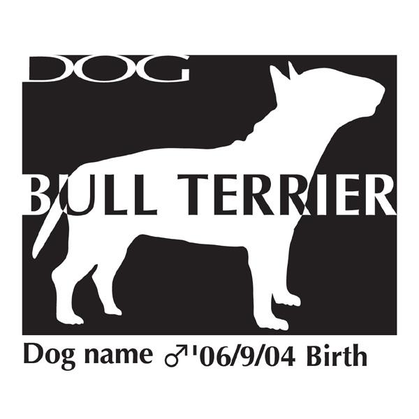 hbOV[XebJ[B ueA LTCY