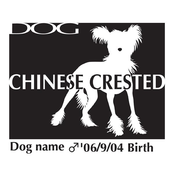 hbOV[XebJ[B `Cj[YNXebhhbO LTCY