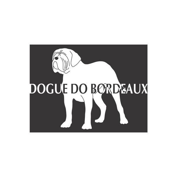 BOGUE DE BORDERAUX@hbOV[XebJ[uBvp^[ MTCY IWiObY