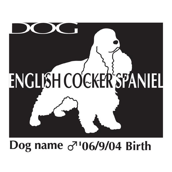 hbOV[XebJ[B CObVRbJ[XpjG MTCY