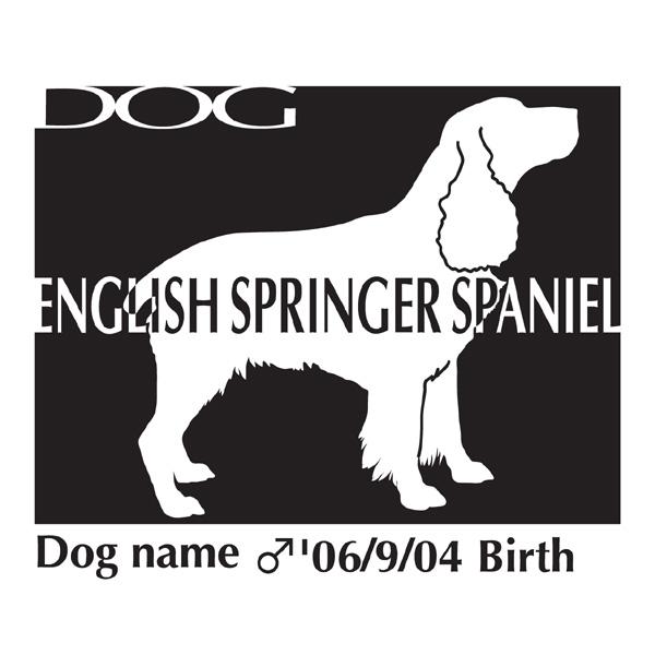 hbOV[B CObVXvK[XpjG LTCY