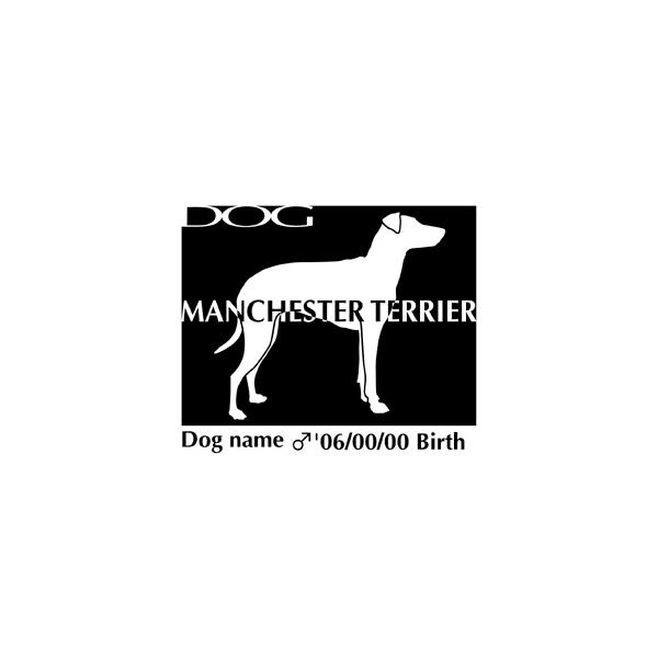 hbOV[XebJ[B }`FX^[eA LTCY