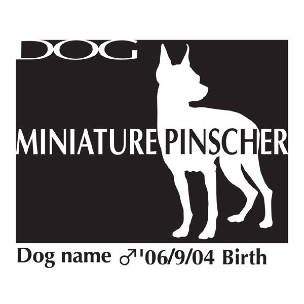 hbOV[XebJ[B ~j`AsV[ LTCY