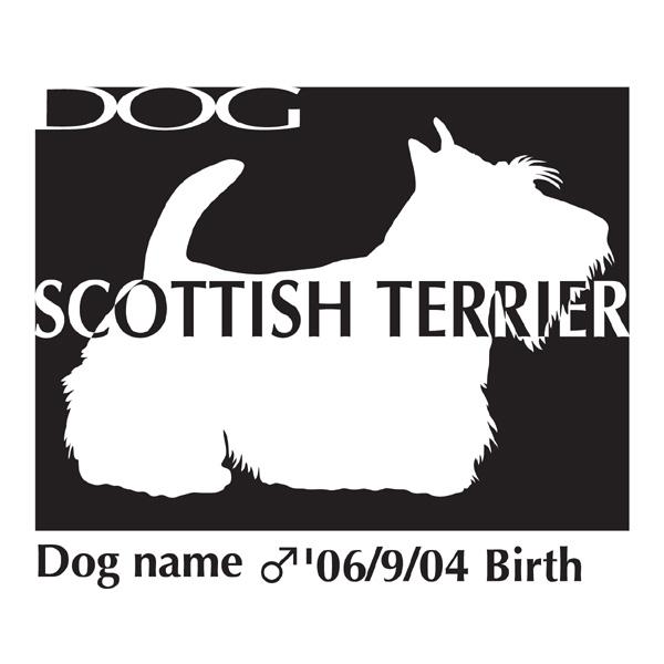 @hbOV[XebJ[B XReBbVeA MTCY