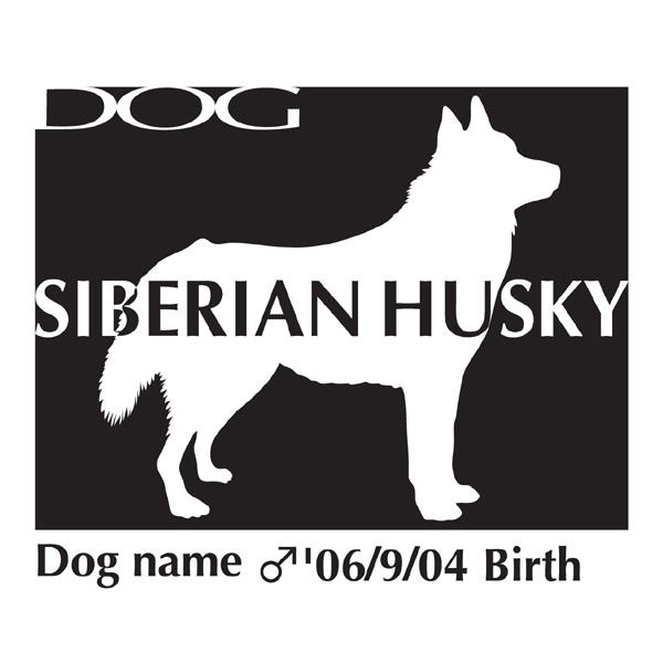 hbOV[XebJ[B VxAnXL[ MTCY