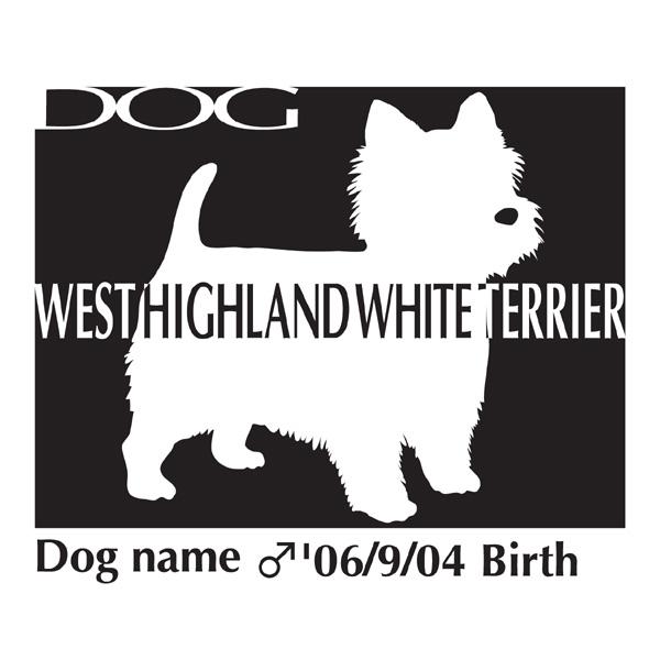 hbOV[XebJ[B EGXgnChzCgeA EGXeB[@MTCY