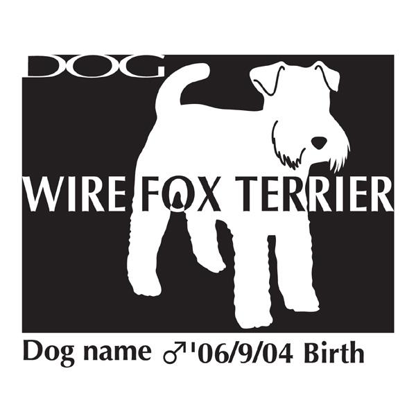 hbOV[XebJ[B C[tHbNXeA LTCY