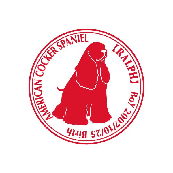 AJRbJ[XpjG  XebJ[ Cp^[@