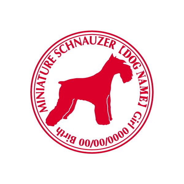 ~j`AViEU[  XebJ[ Cp^[@