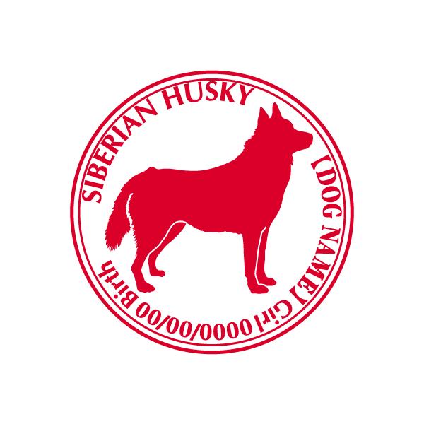 VxAnXL[  XebJ[ Cp^[@