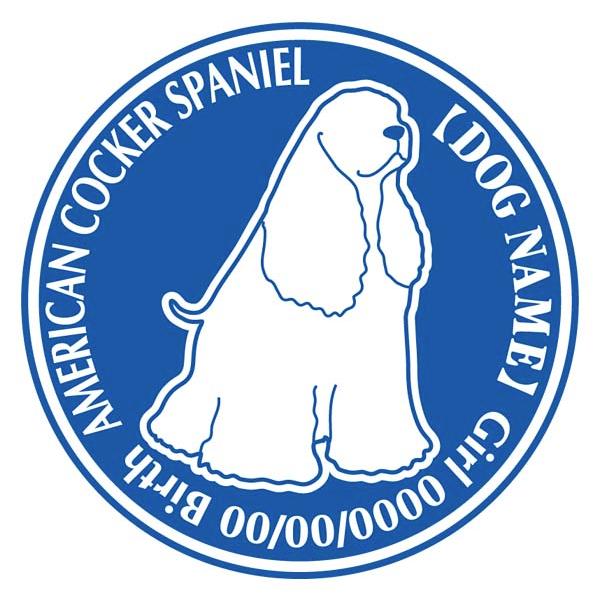 AJRbJ[XpjG  XebJ[ Dp^[@