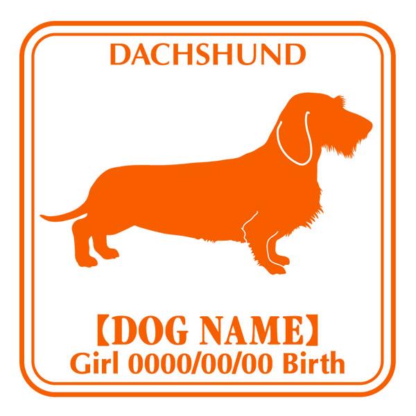 hbOV[XebJ[E _bNXth C[