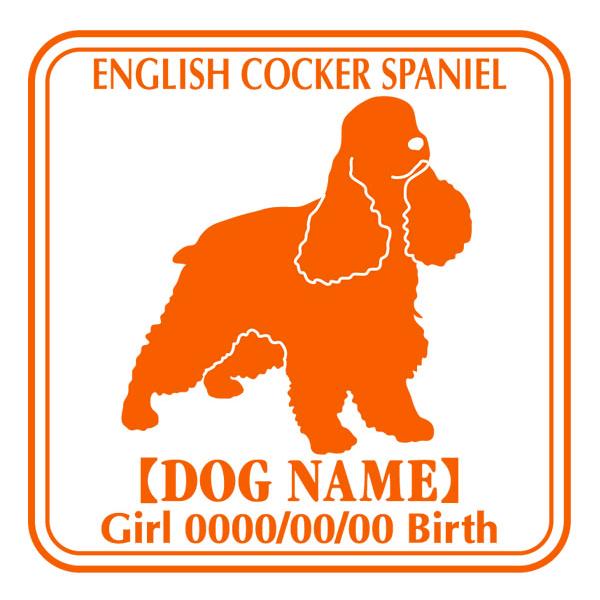 hbOV[XebJ[E CObVRbJ[XpjG